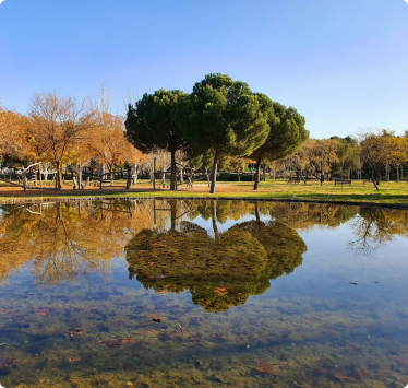 Andalucía Park